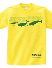 narwhal