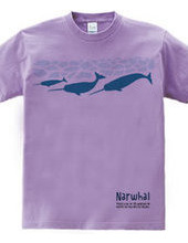 narwhal