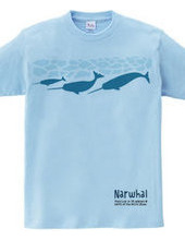 narwhal