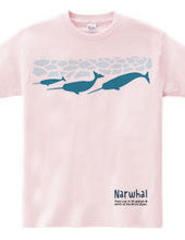 narwhal