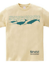 narwhal