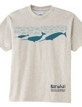 narwhal