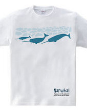 narwhal