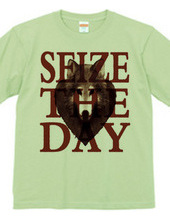 seize the day