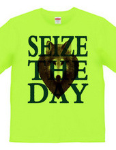 seize the day