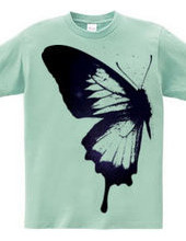butterfly wing 01