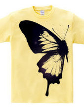 butterfly wing 01