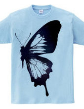 butterfly wing 02