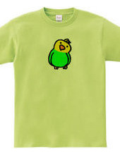 Parrot - Green