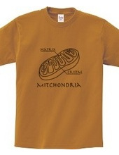 Mitochondria