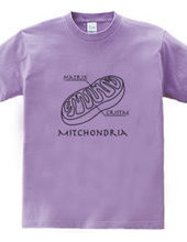 Mitochondria