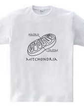 Mitochondria