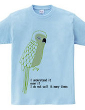 Parakeet