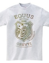 EQUUS GREVYI