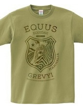 EQUUS GREVYI