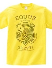 EQUUS GREVYI