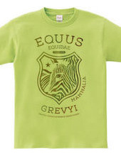 EQUUS GREVYI