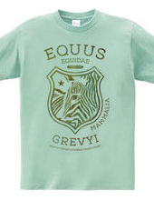 EQUUS GREVYI