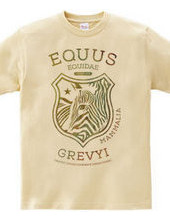 EQUUS GREVYI