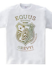 EQUUS GREVYI