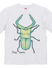 Stag beetle