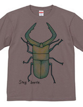 Stag beetle