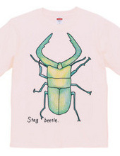 Stag beetle