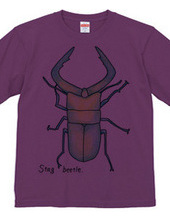 Stag beetle