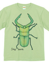 Stag beetle