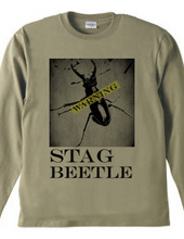 Stag beetle