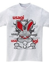 Usagi