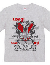 Usagi