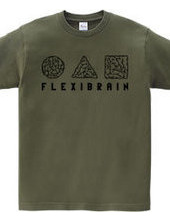 FLEXIBRAIN