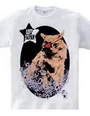 pirate cat t-shirt