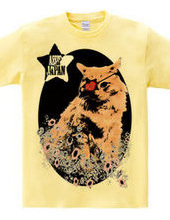 pirate cat t-shirt