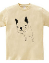 FRENCH BULLDOG