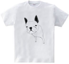 FRENCH BULLDOG