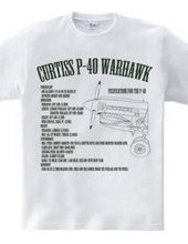 P-40 WARHAWK