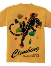 Climbing Black Panther