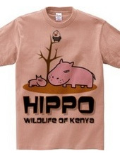 HIPPO Family