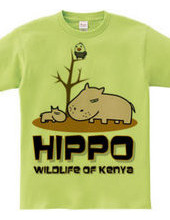 HIPPO Family