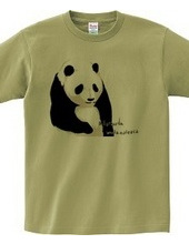 panda (white and gray)