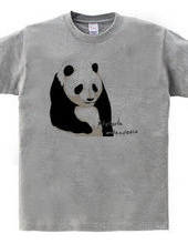 panda (white and gray)