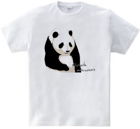 panda (white and gray)