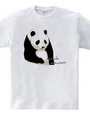 panda (white and gray)