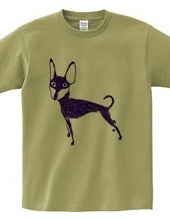 Miniature Pinscher