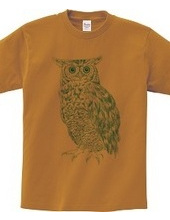 OWL (blue and green)