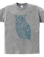 OWL (blue and green)