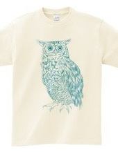 OWL (blue and green)