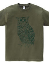 OWL (blue and green)